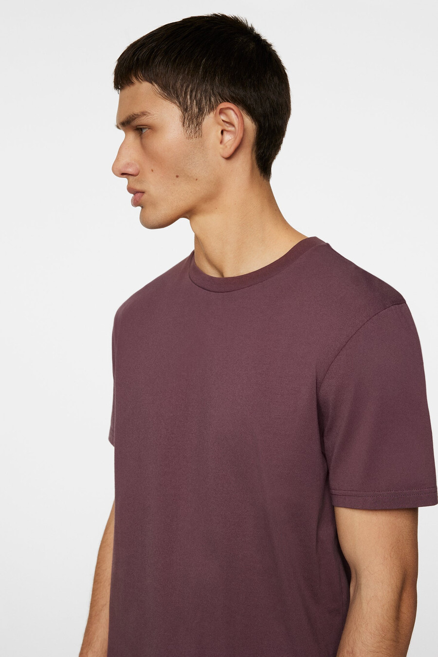 t-shirt basique sid
